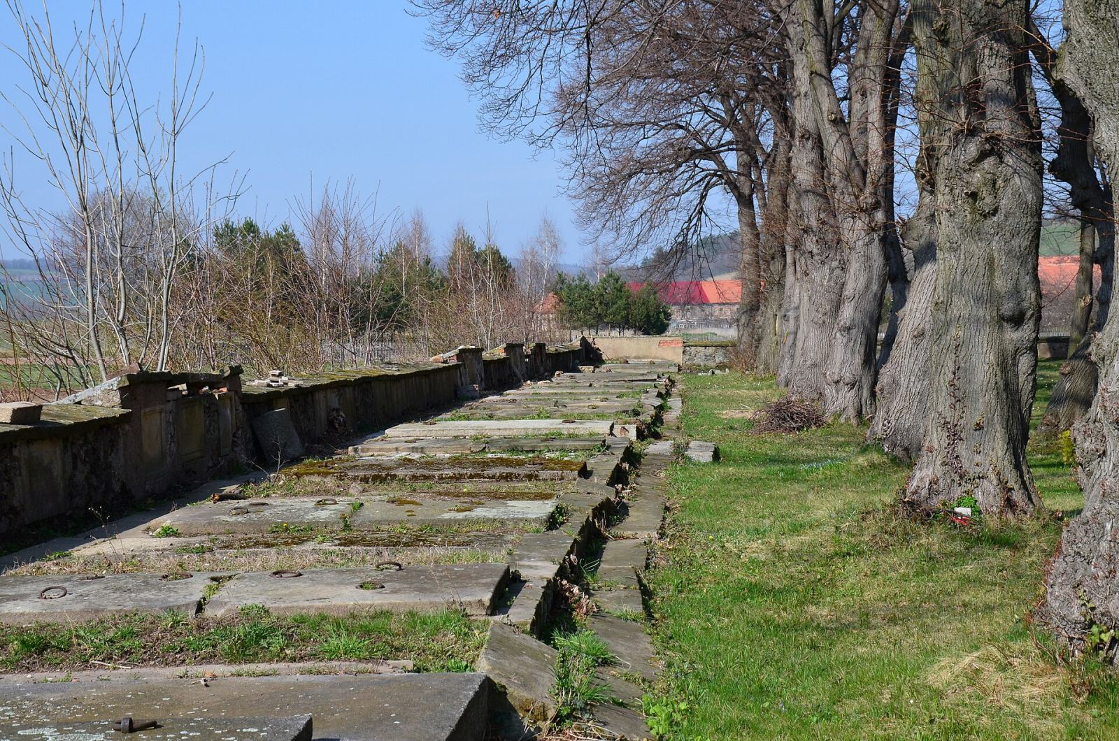 Cmentarz ewangelicki, Wierzchosławice