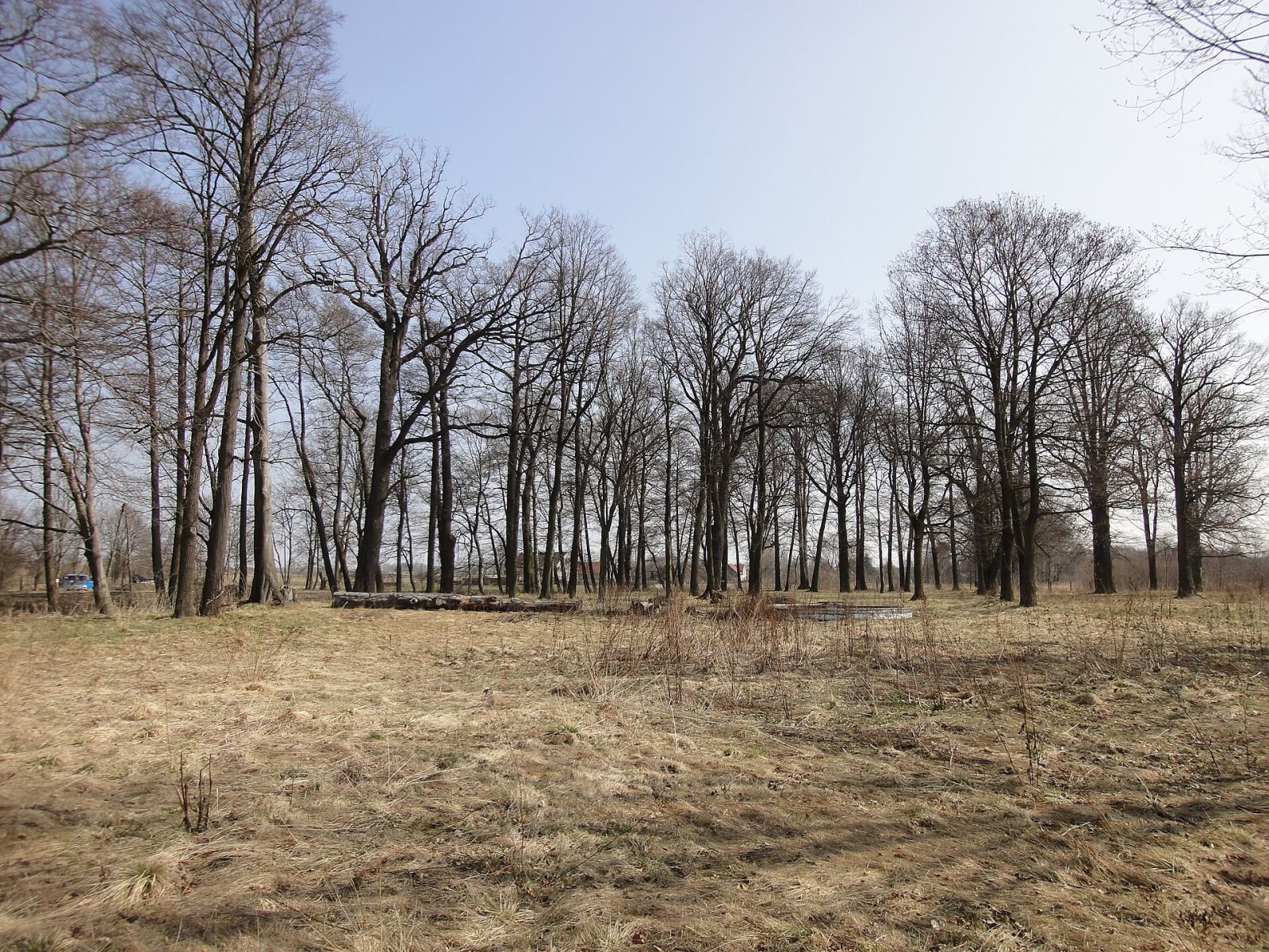 Park, Żarki Średnie