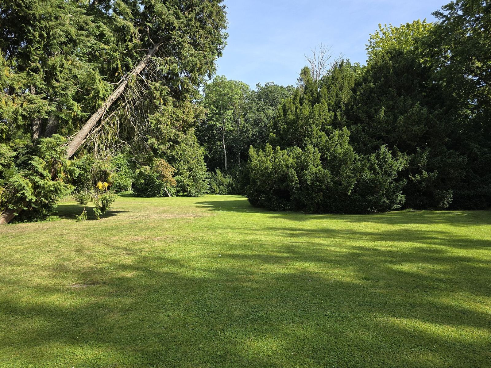Park, Kłanino