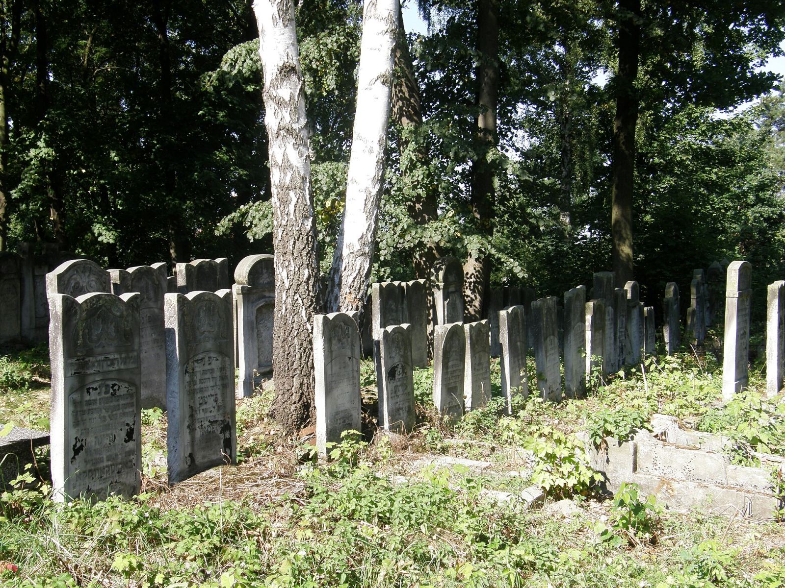 Cmentarz żydowski, Radomsko