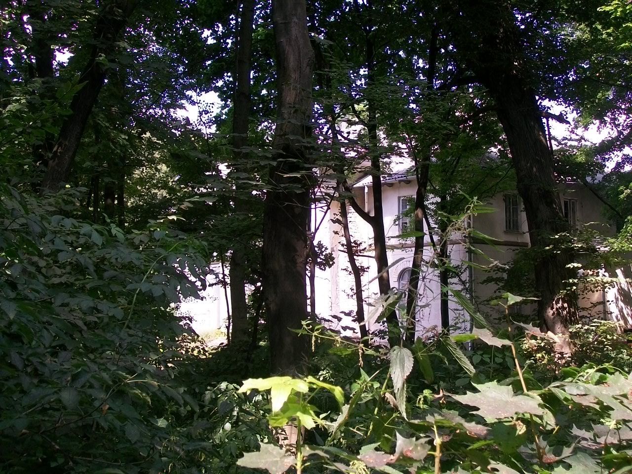 Park, Olszanka