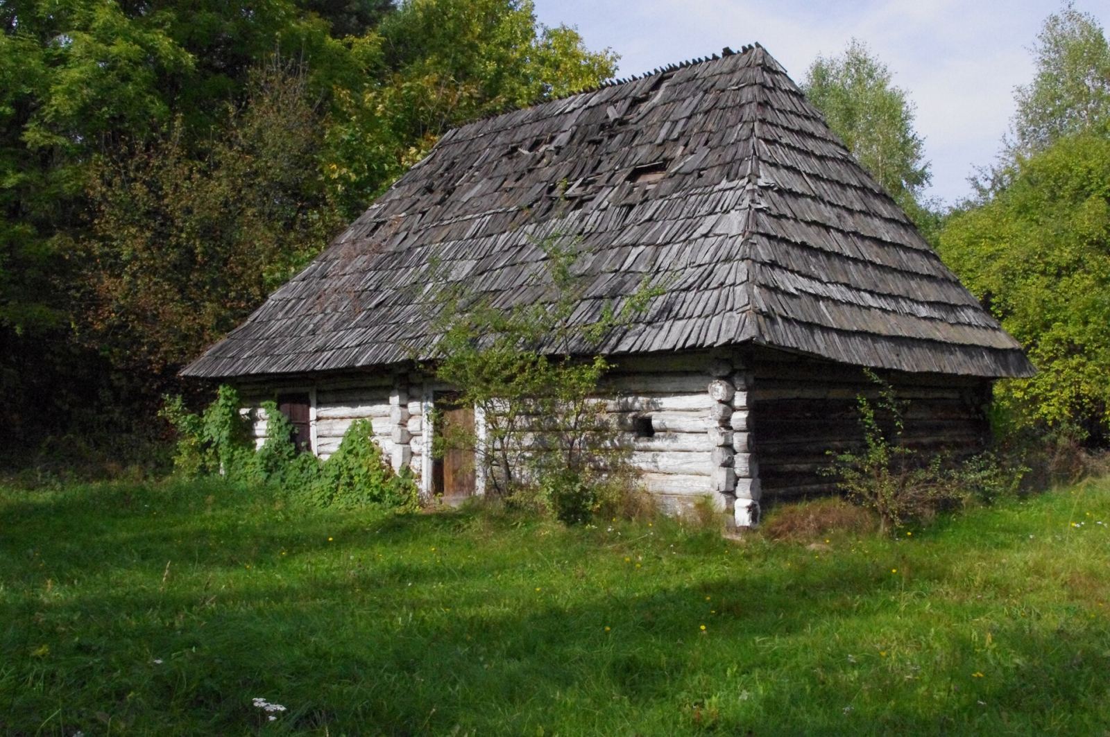 Park, Petrykozy