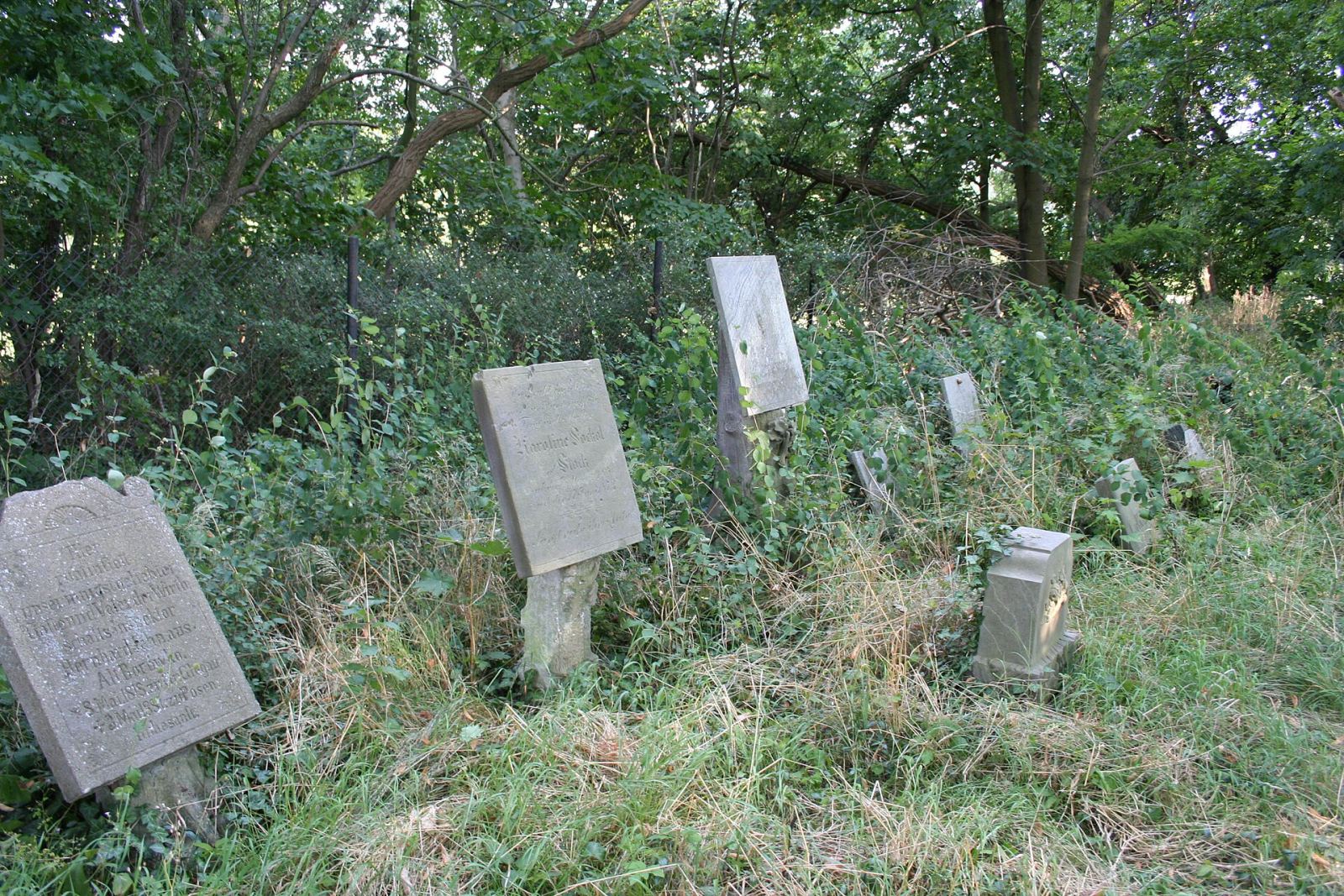 Cmentarz kalwiński, Orzeszkowo