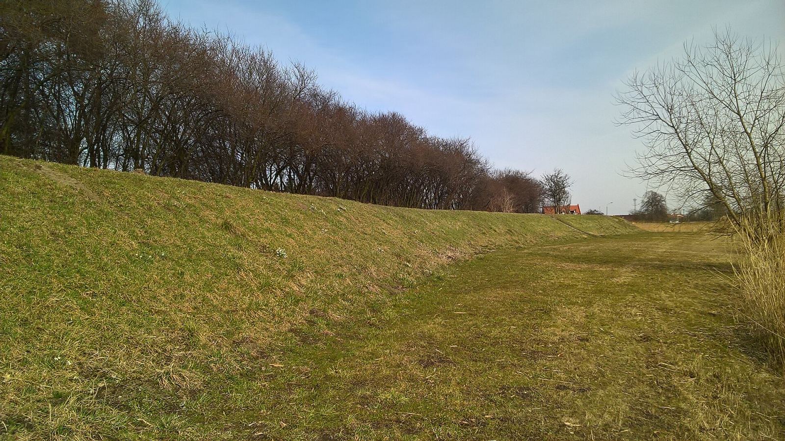 Basion Królik, Gdańsk