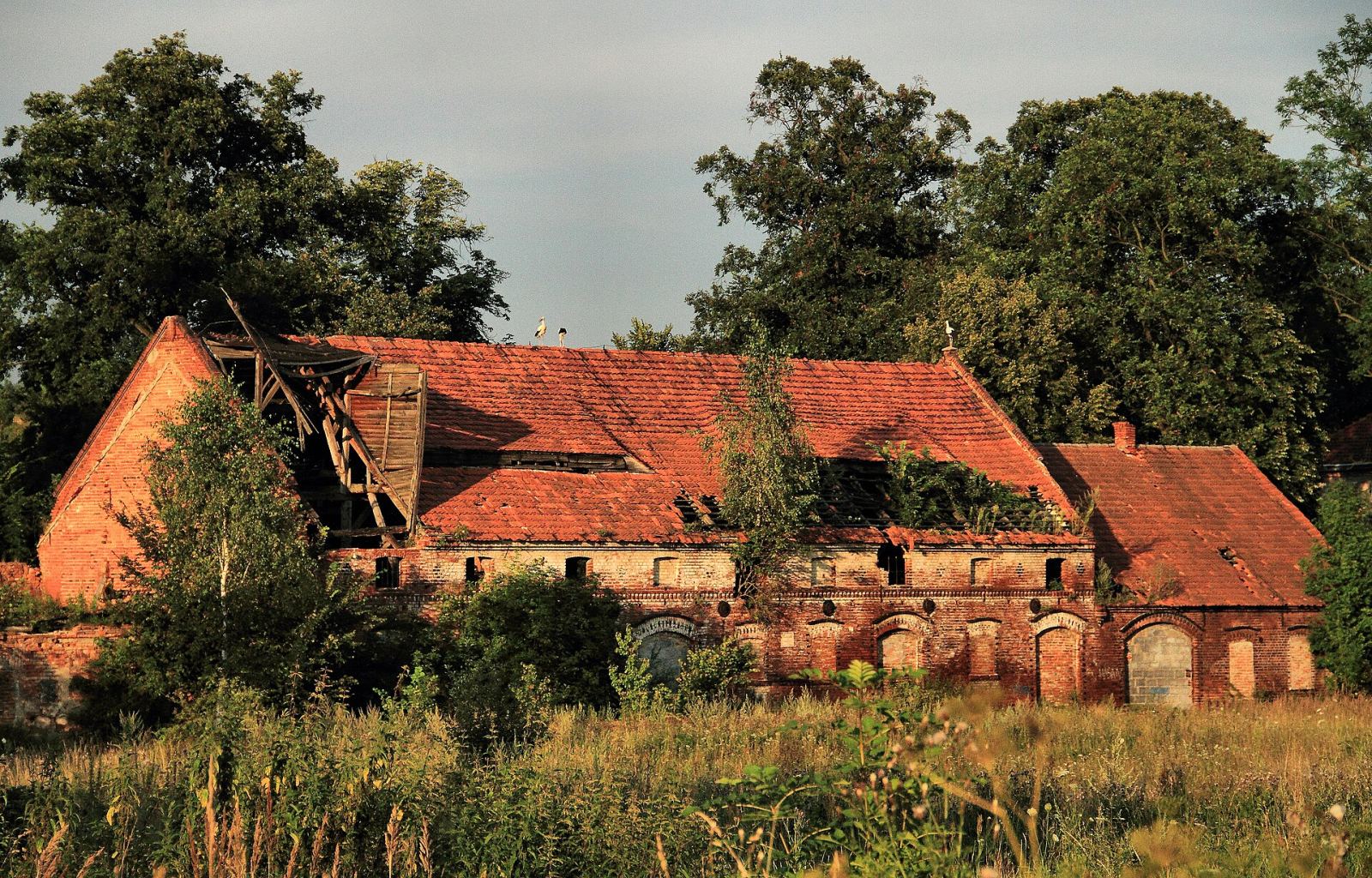 Obora, Komorniki