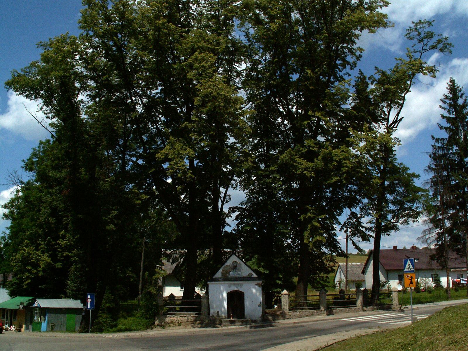 Cmentarz wojenny nr 362 z I wojny światowej, Szczyrzyc