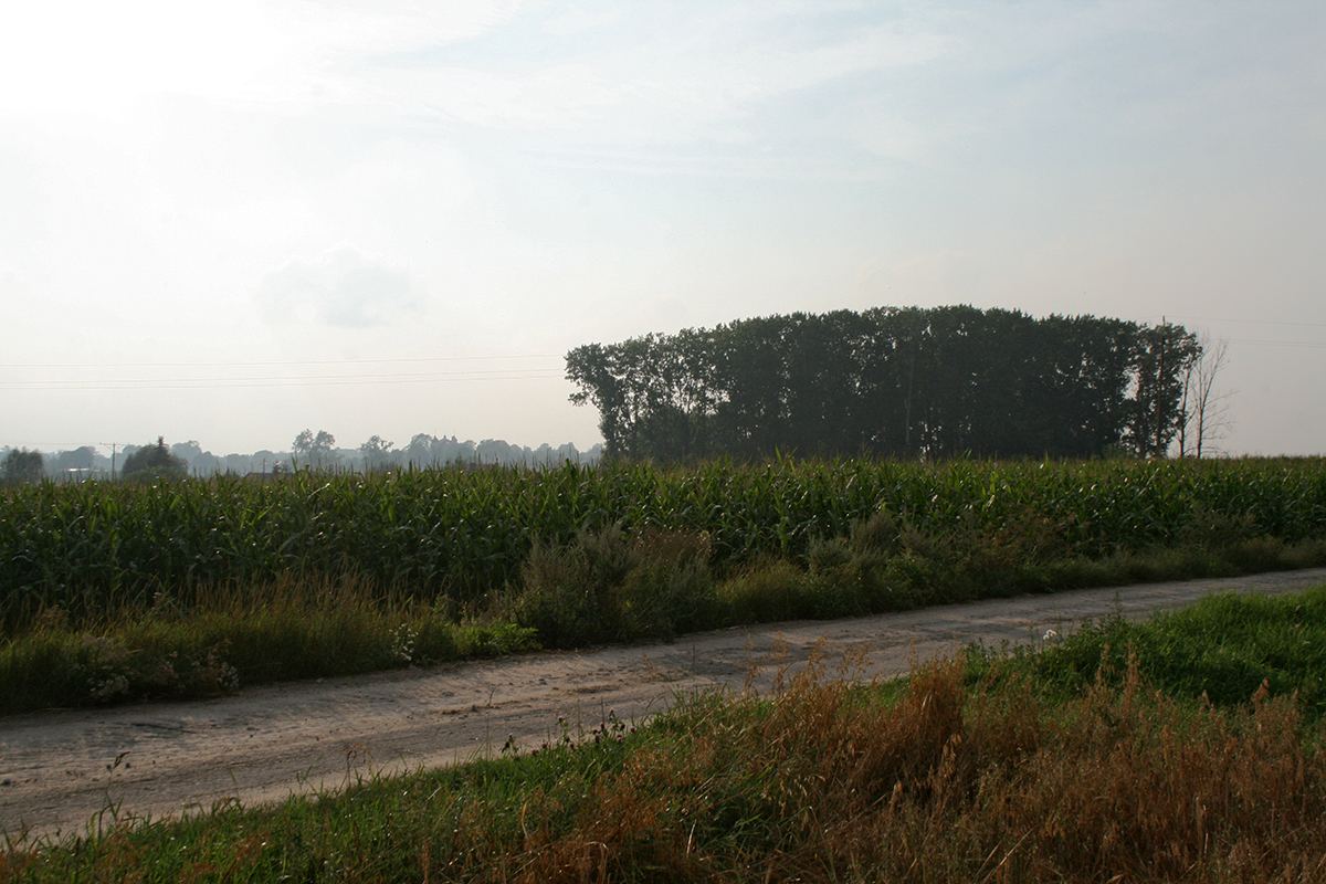 Cmentarz żydowski, Markuszów