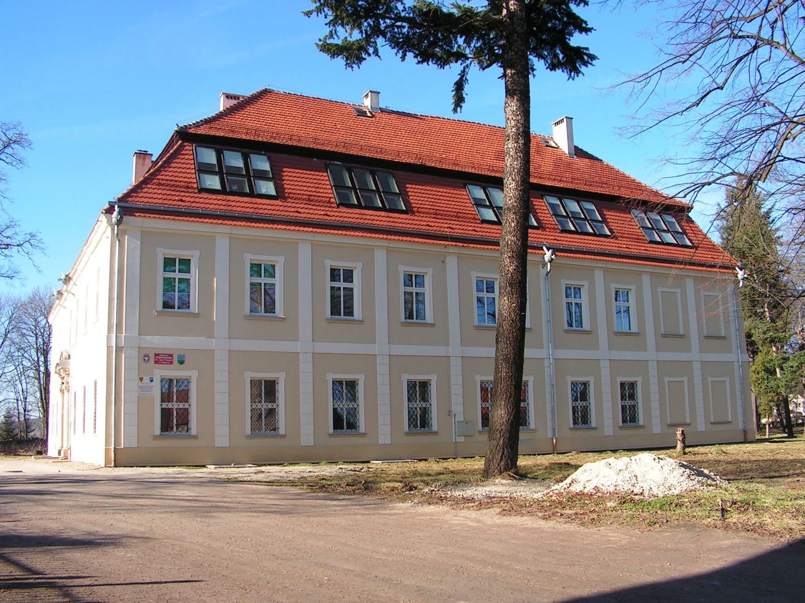 Pałac, Tuszyn