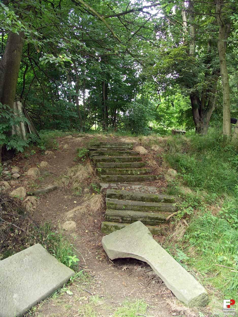 Park, Rząsiny