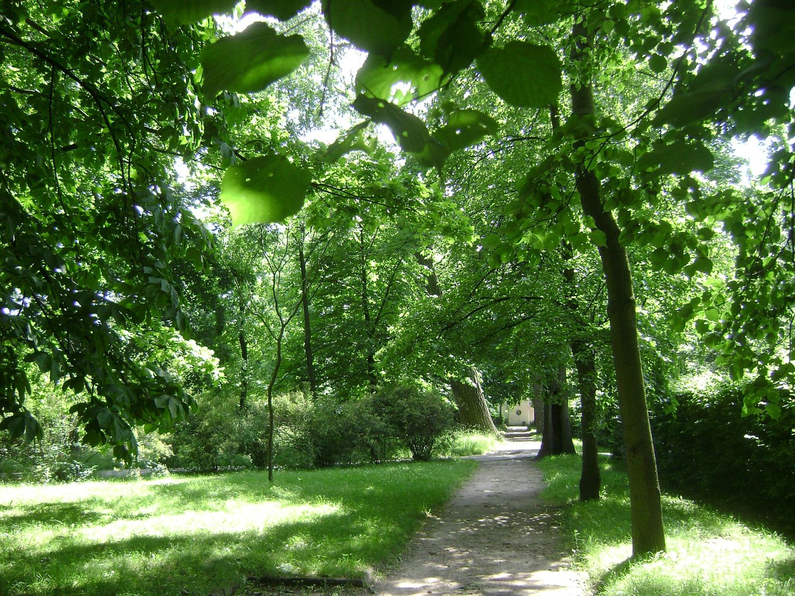 Park Łazienki Królewskie, Warszawa