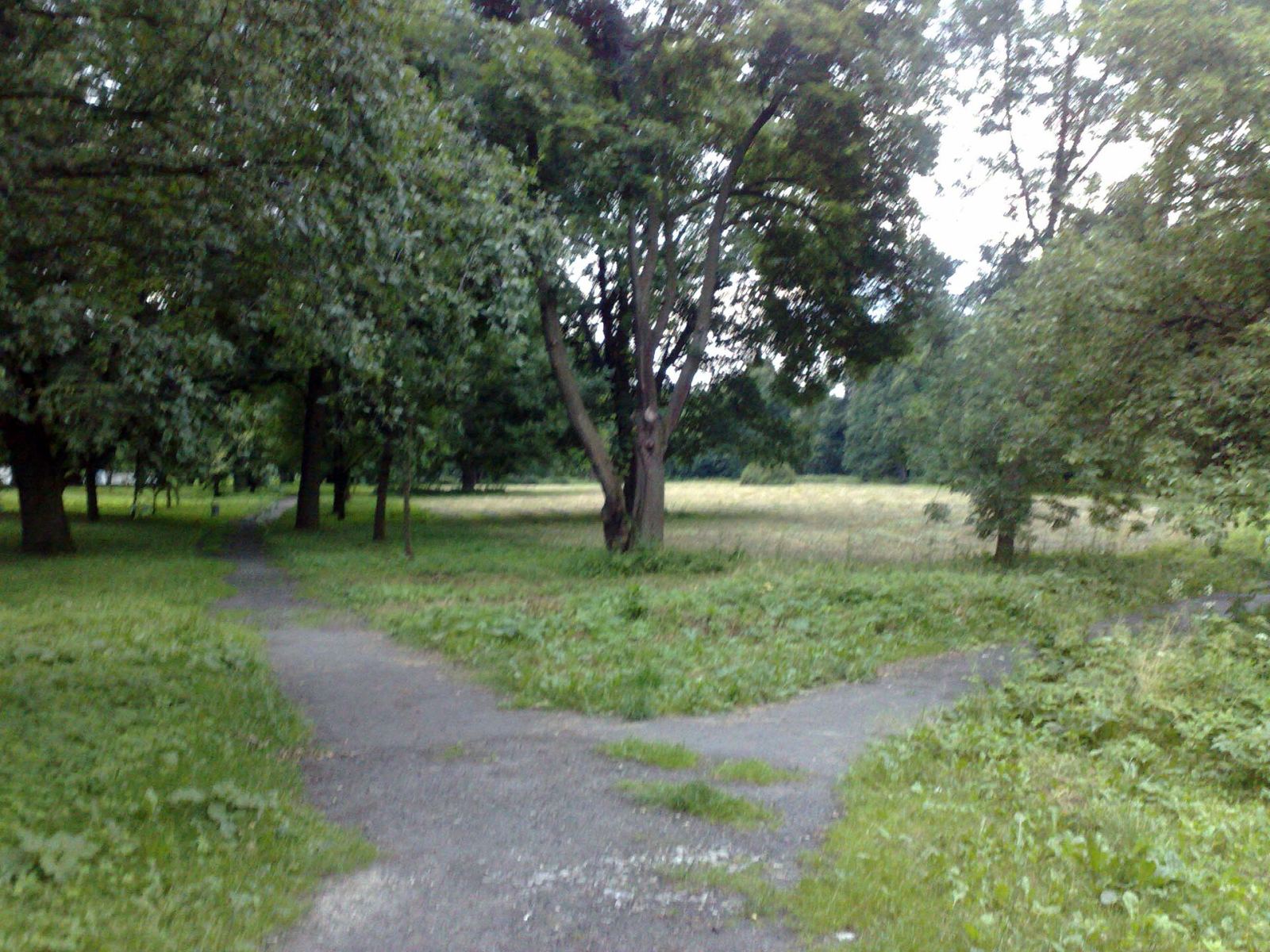 Park, Biała Nyska