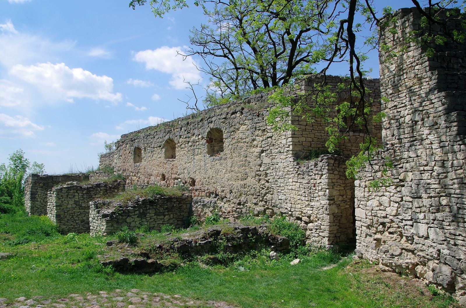 Ruiny zamku, Iłża