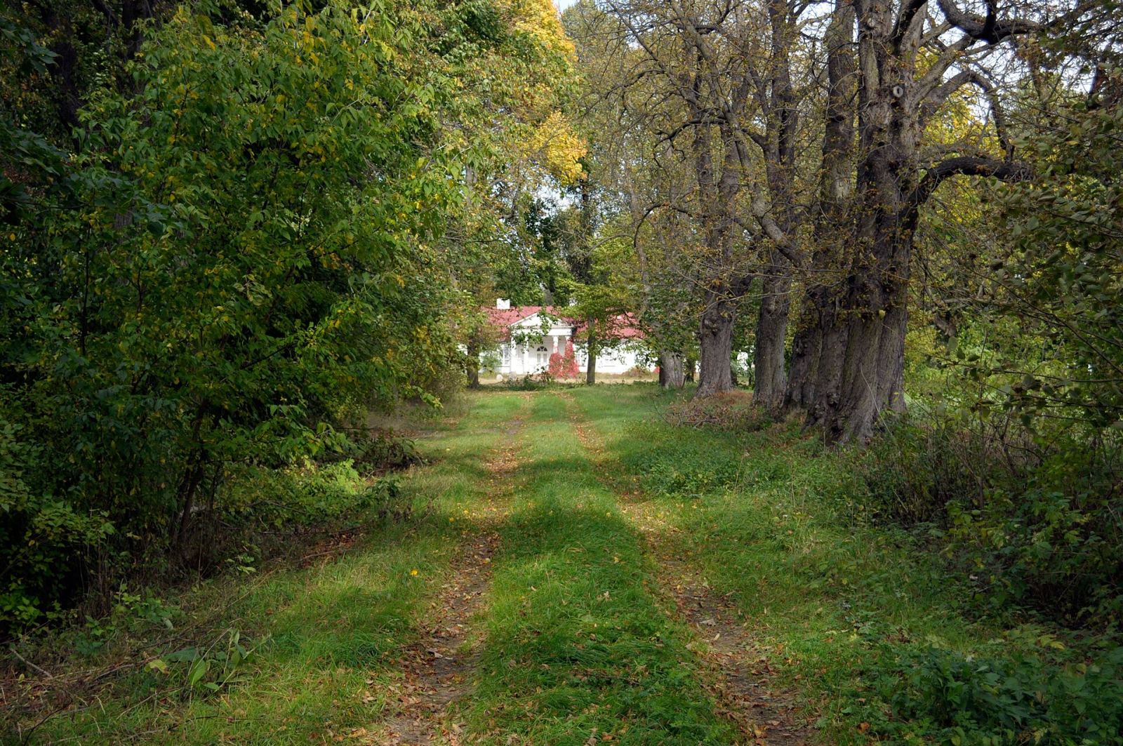 Park, Rytomoczydła