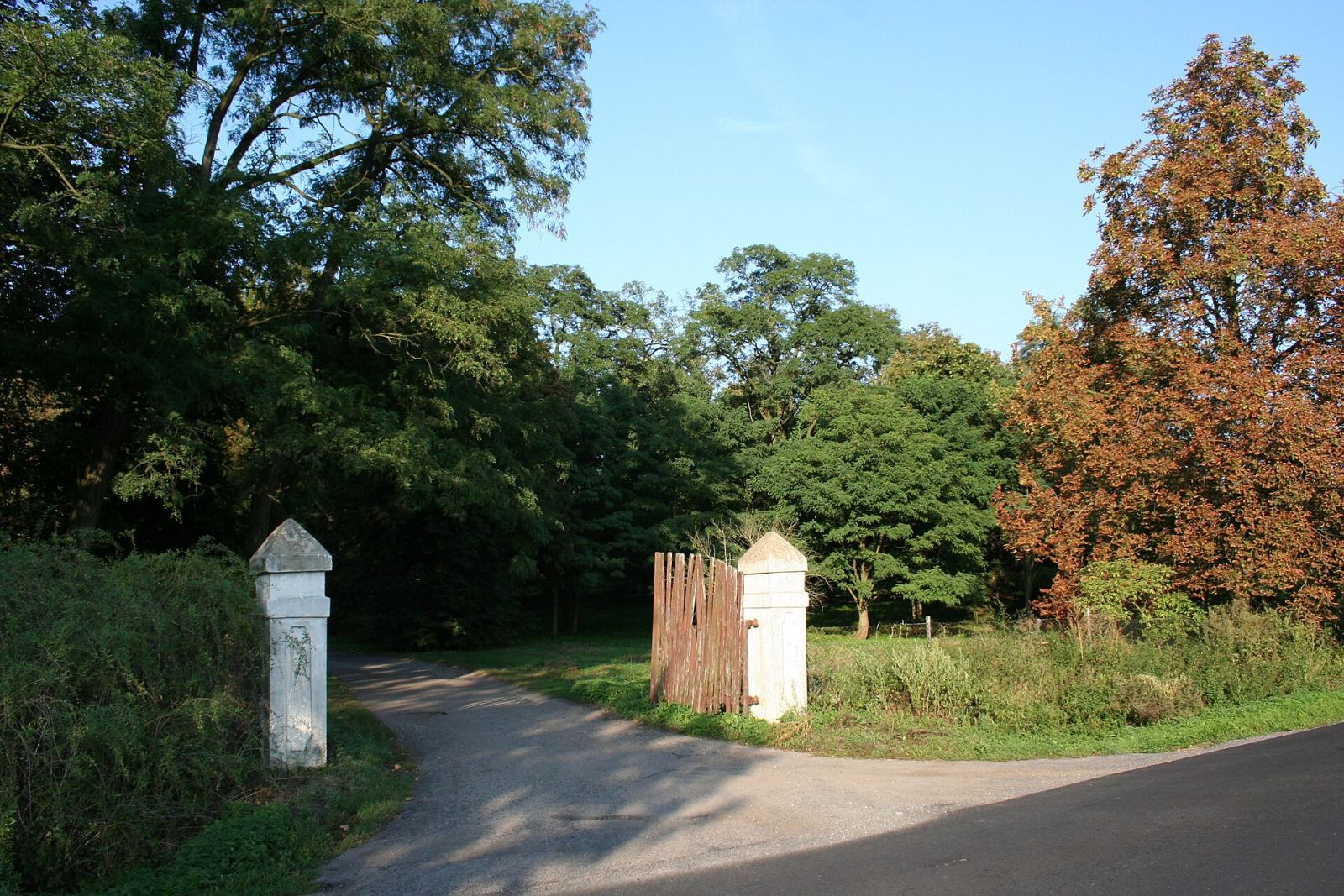 Park, Środa Wielkopolska