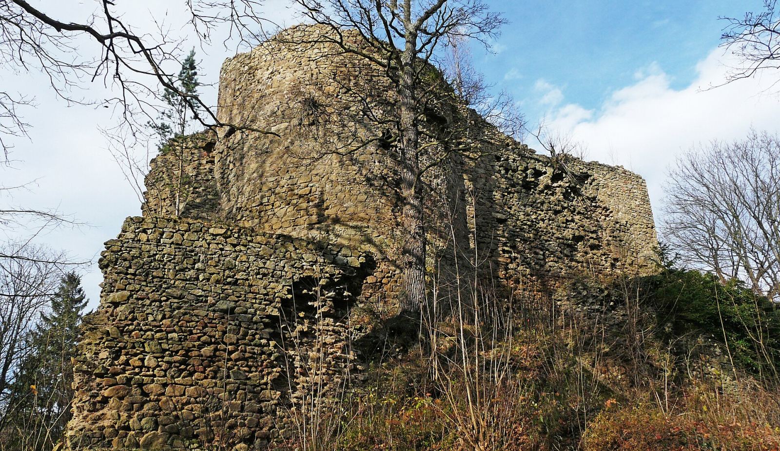 Ruiny Zamku Cisy, Cieszów