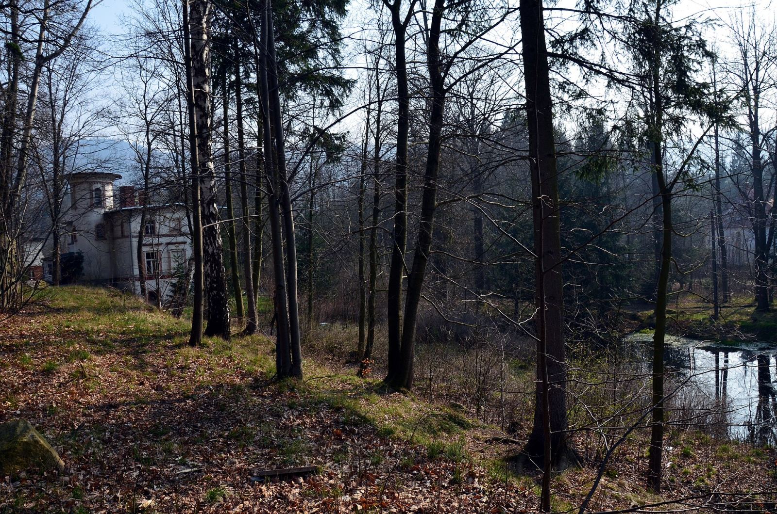 Park, Janowice Wielkie