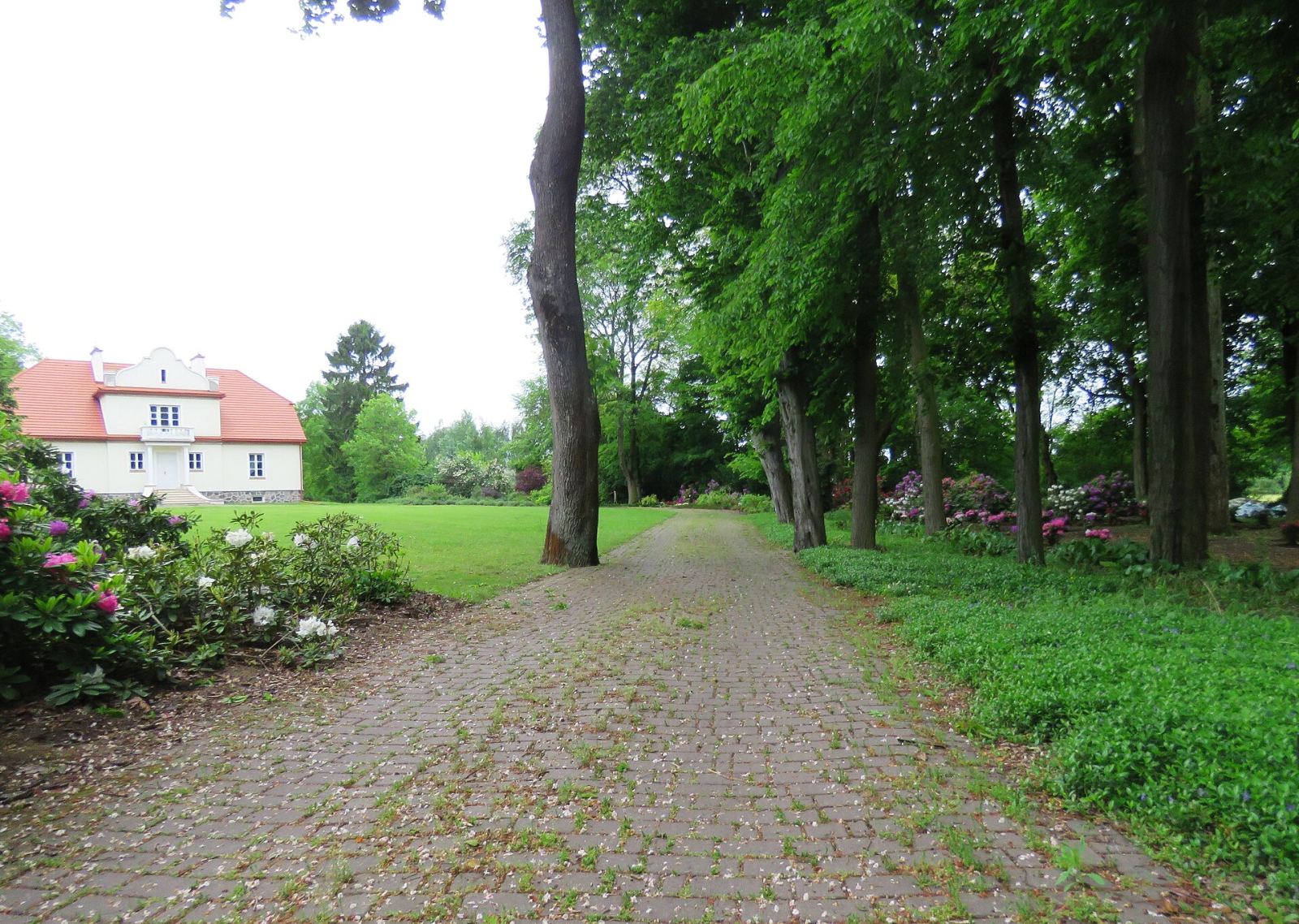 Park, Książenice