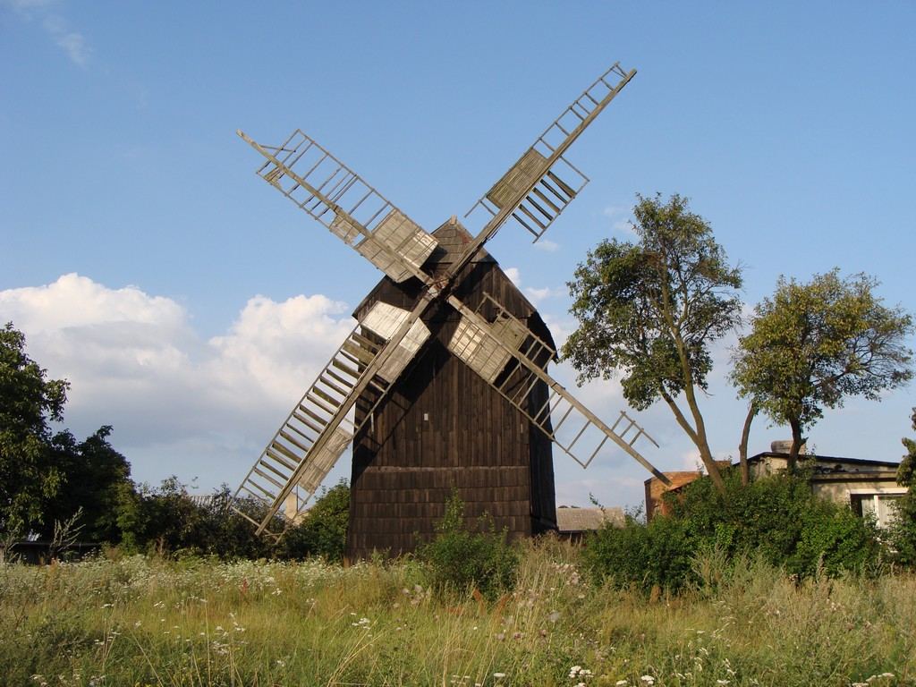 Wiatrak koźlak, Jerka