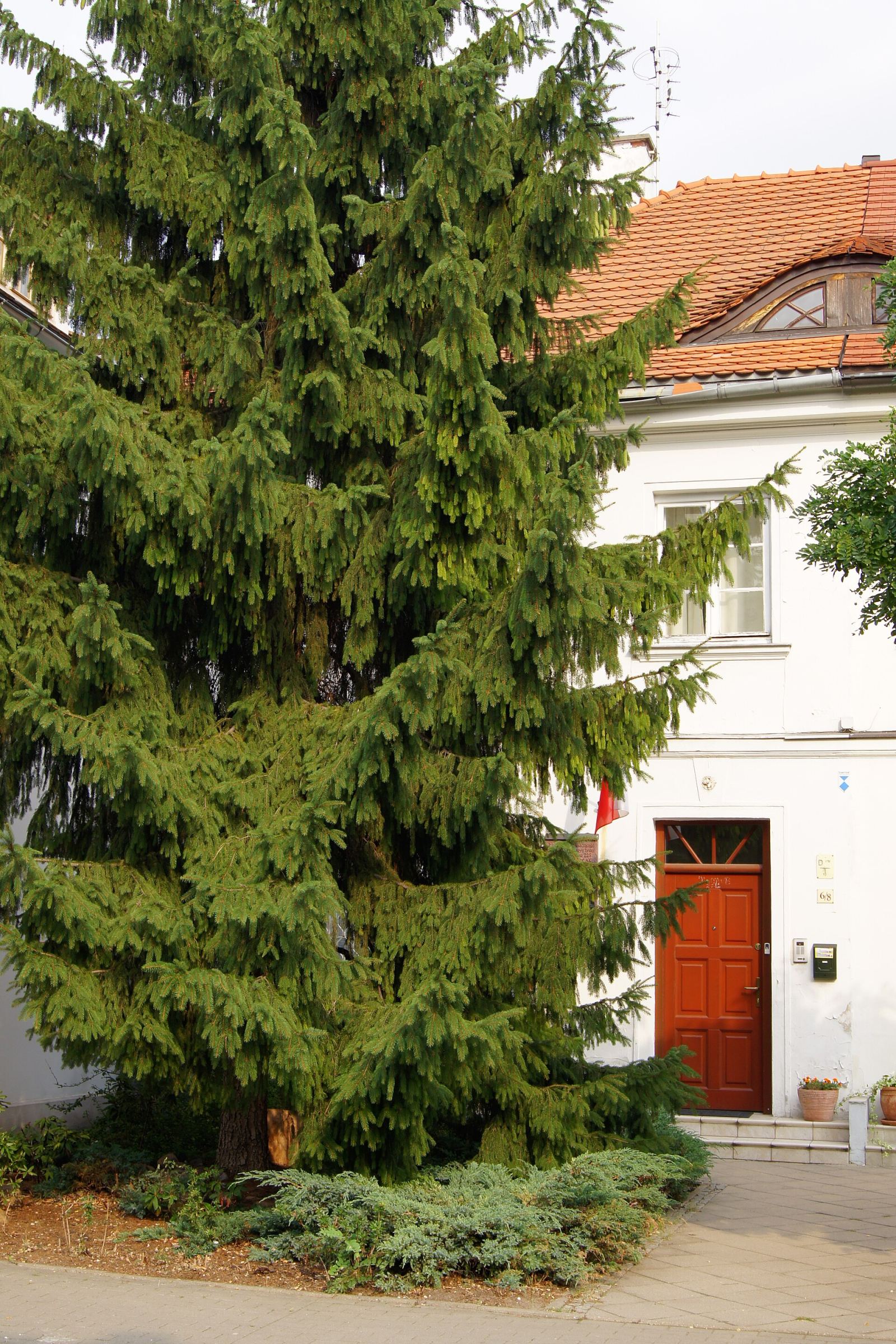 Segment mieszkalny, Warszawa