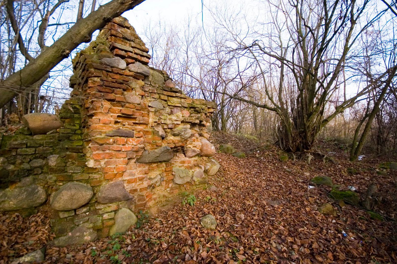 Zespół dworski, Miedzna