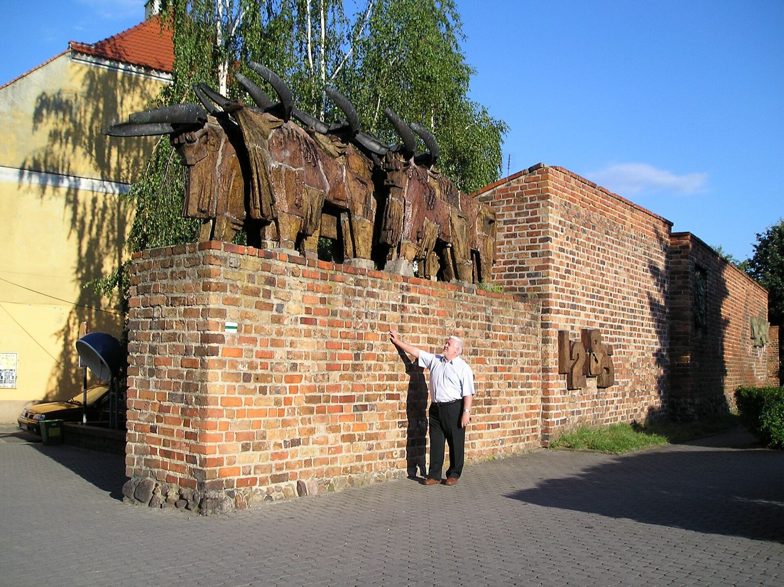 Mury miejskie, Wołów