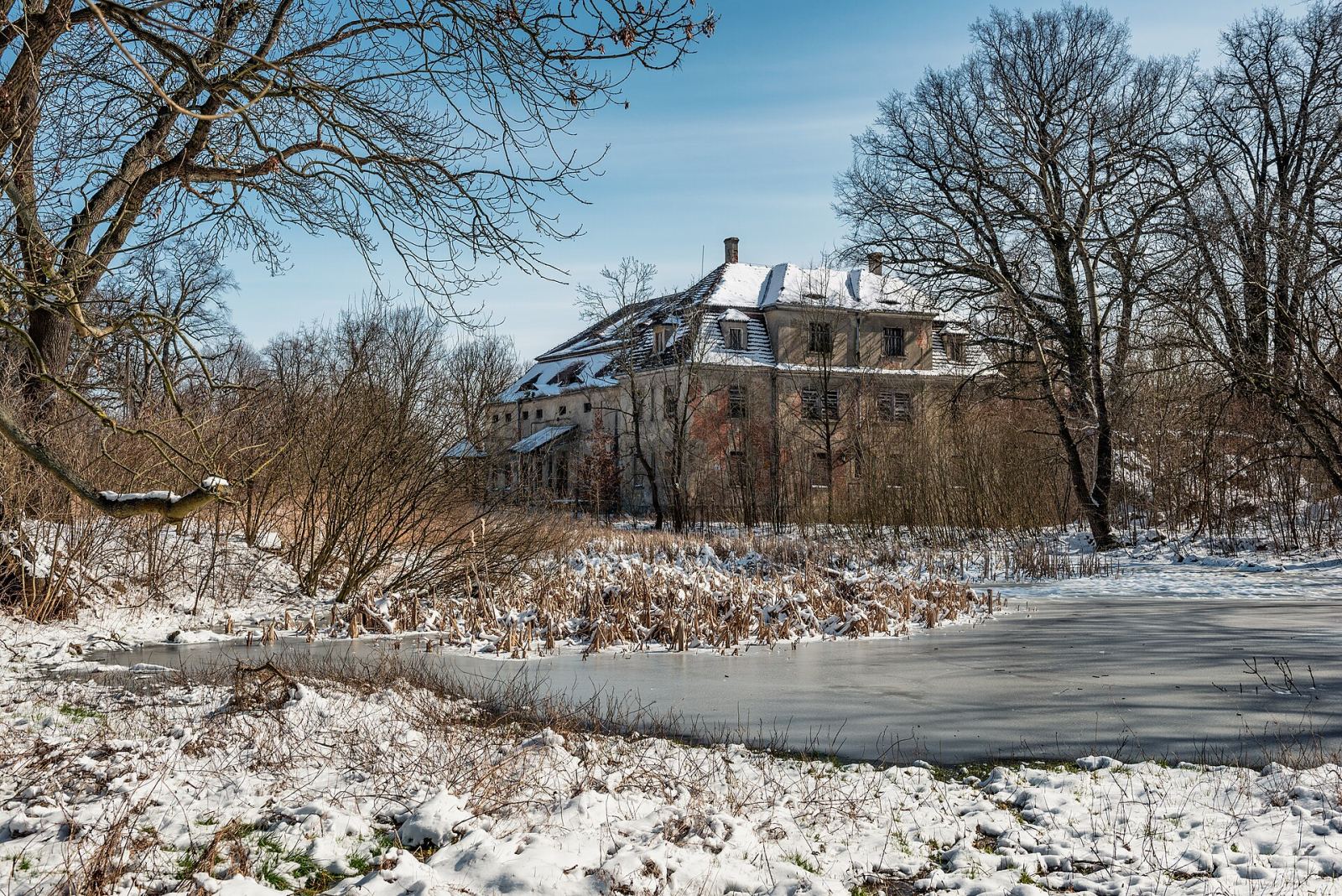Dwór, Borów Wielki