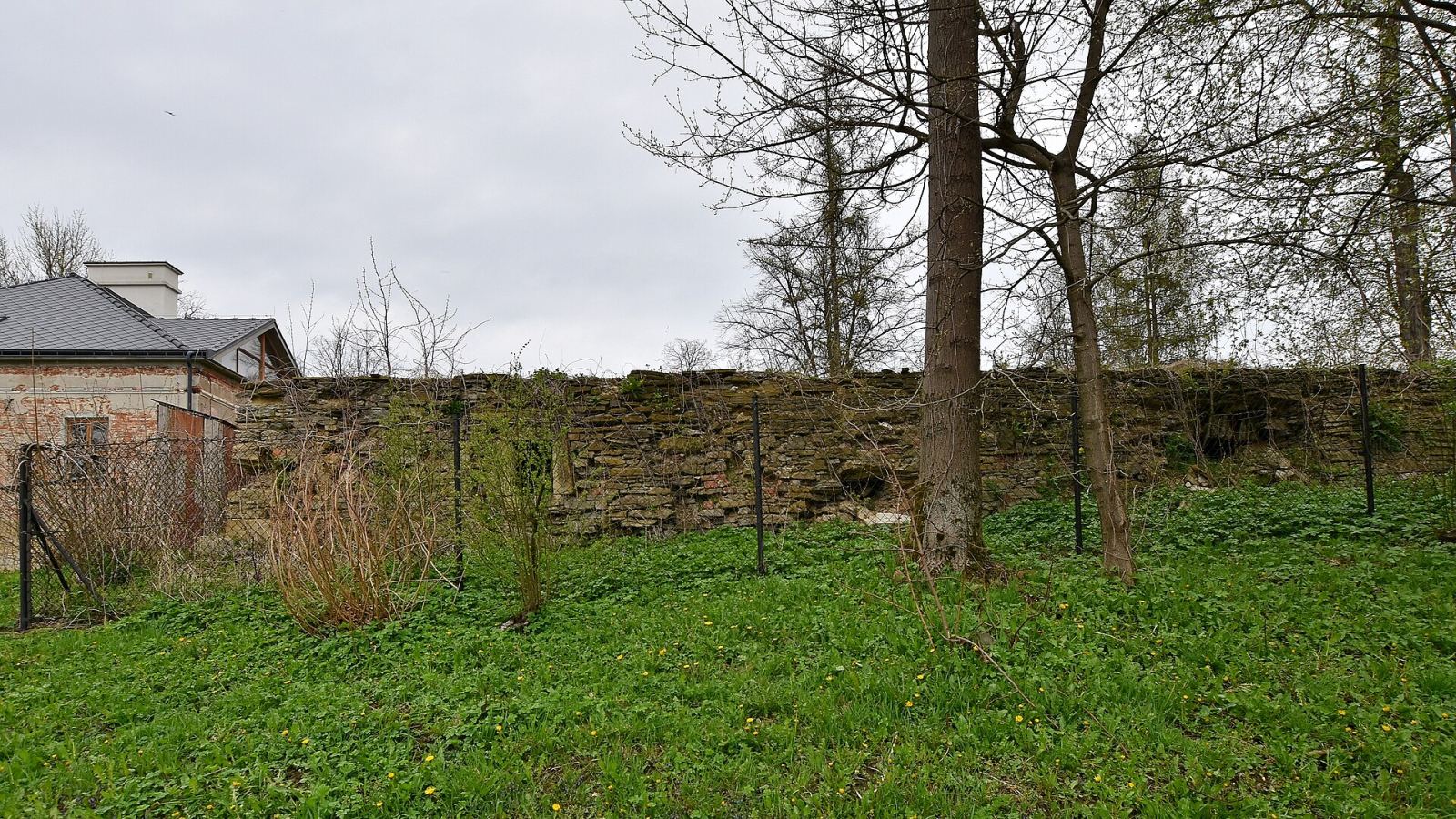 Piwnice starego dworu Kuropatnickich, Tarnowiec