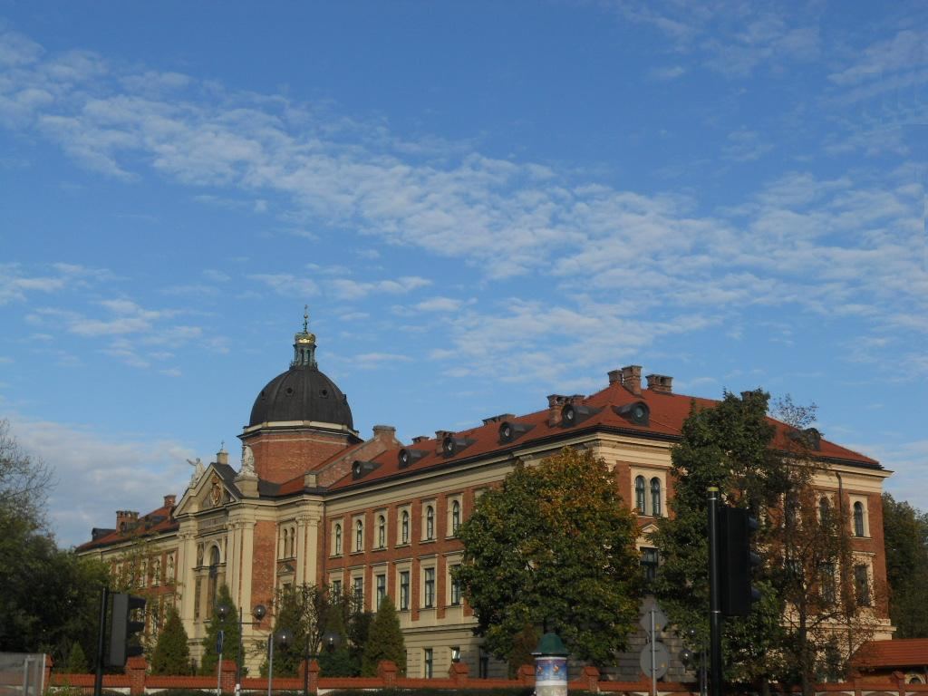 Schronisko, Kraków