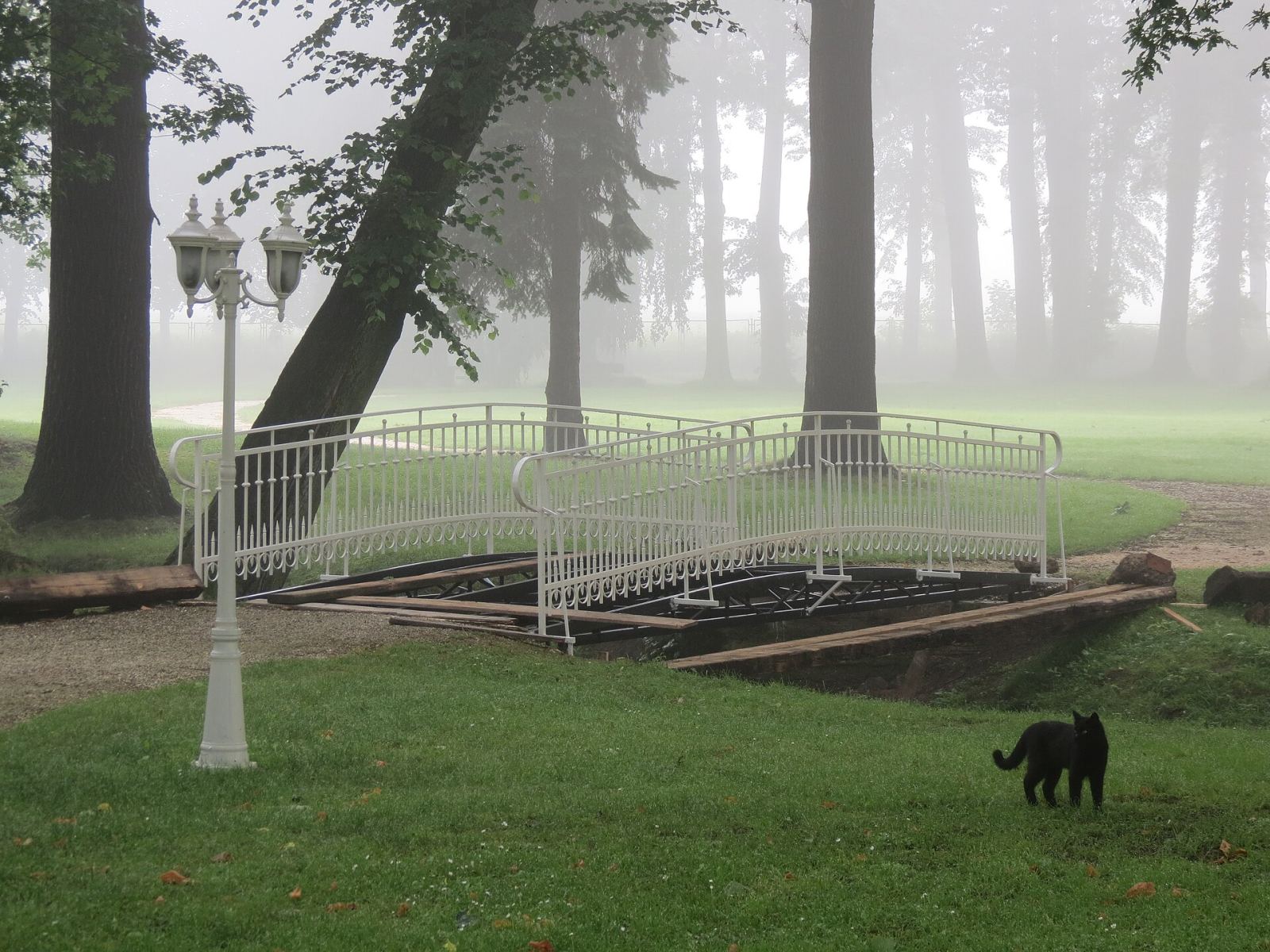 Park, Brunów