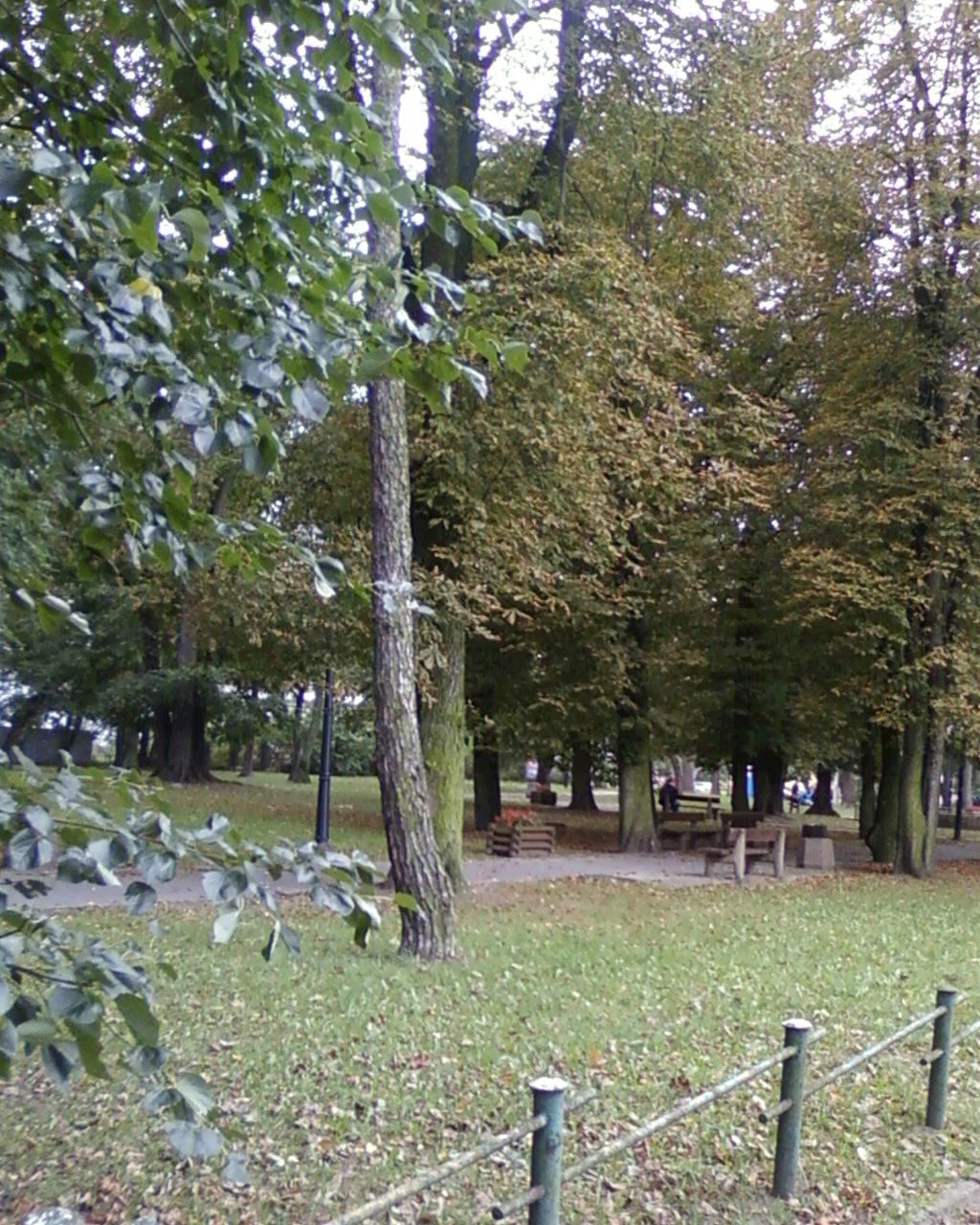 Park, Sochaczew
