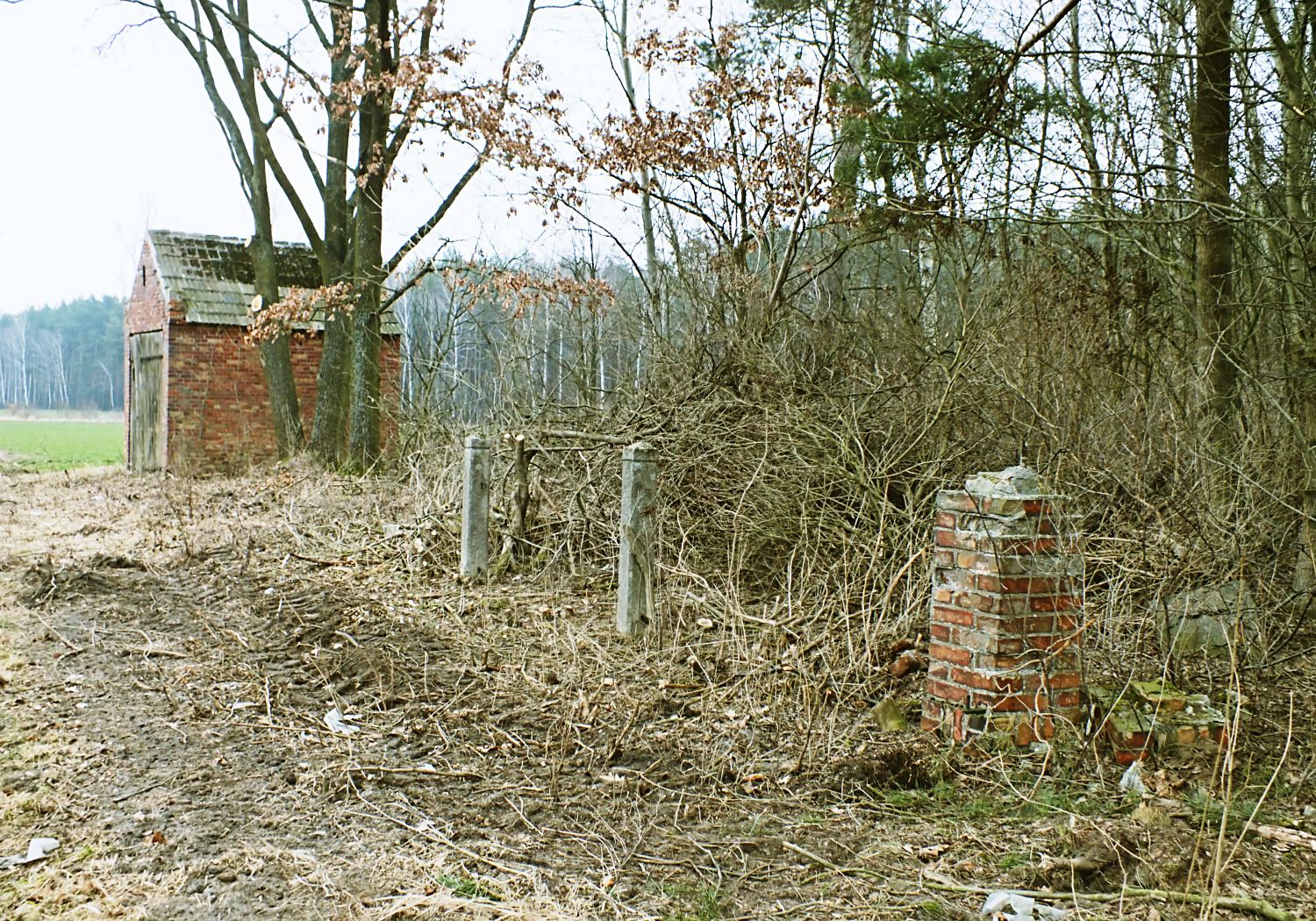 Cmentarz ewangelicki, Wyszynki