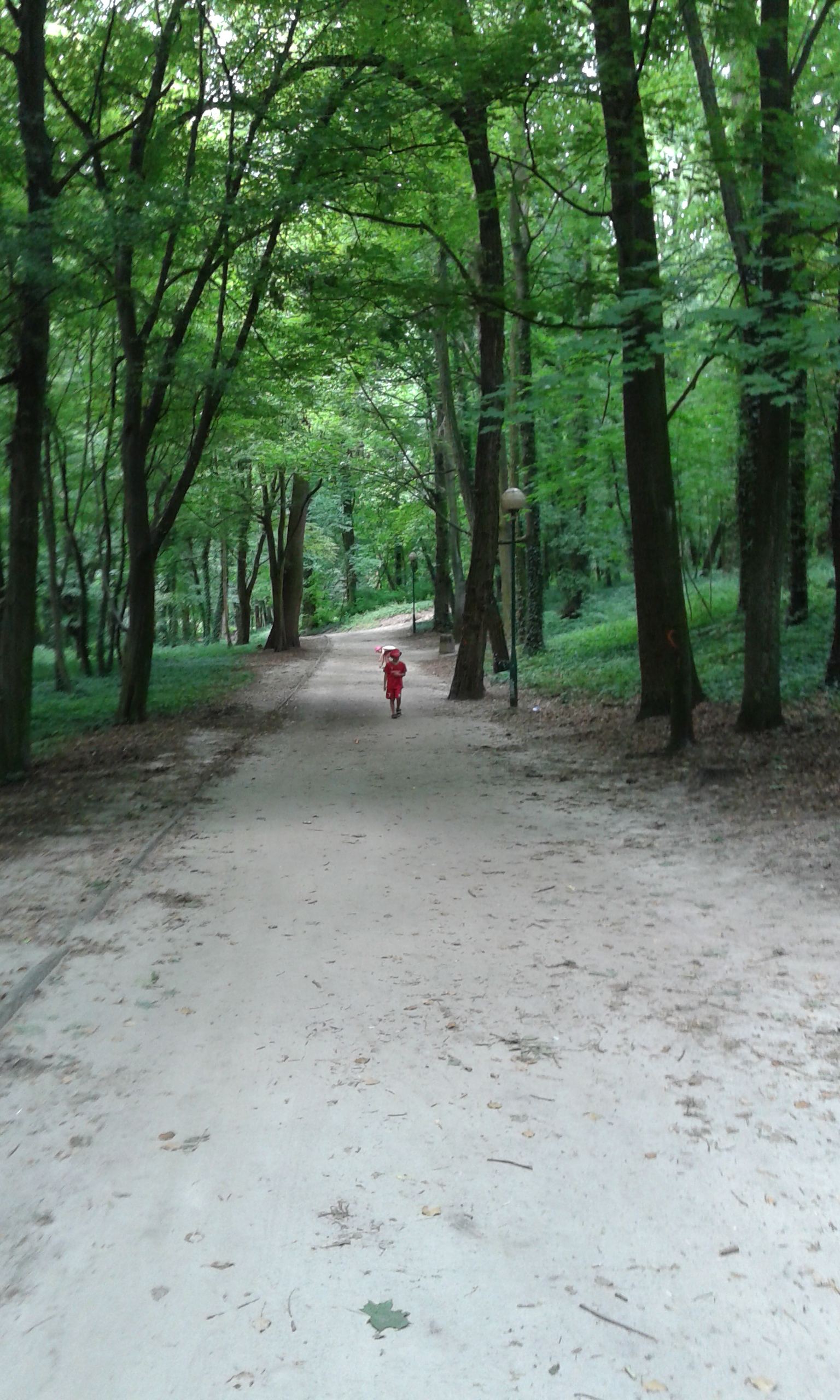 Park, Sława
